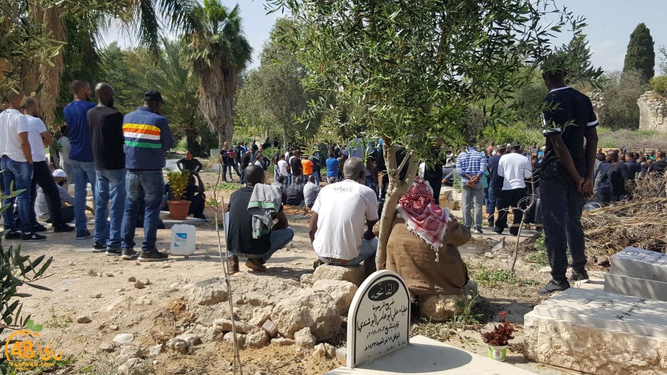 albeedjanaza (5).jpg